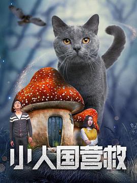 HD手机免费观看完整