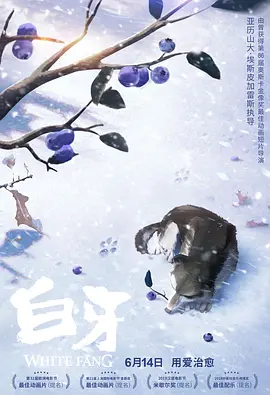 在线观看黄视频