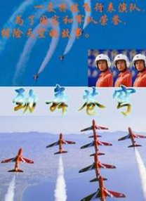 1080P手机在线看