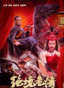 DVD高清完整版